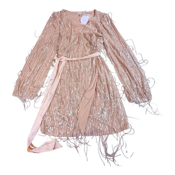 NEW En Creme Mini Robe WRAP DRESS & BELT Silver Sequin Fringe Women's MED Nude - Picture 4 of 13